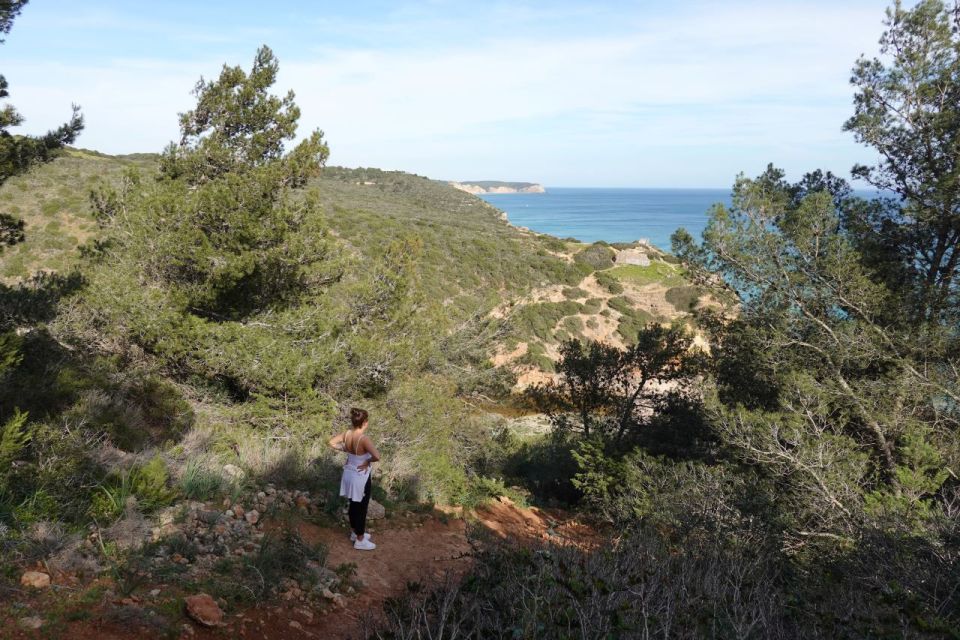 Algarve: Guided WALK in the Natural Park | South Coast - Guided Experience