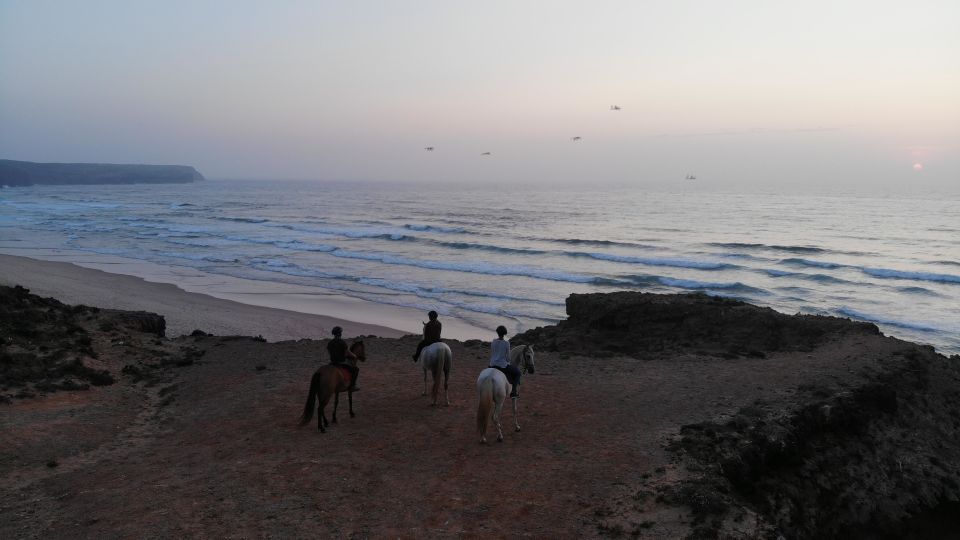 Algarve: Horse Riding Beach Tour at Sunset or Morning - Experience Highlights