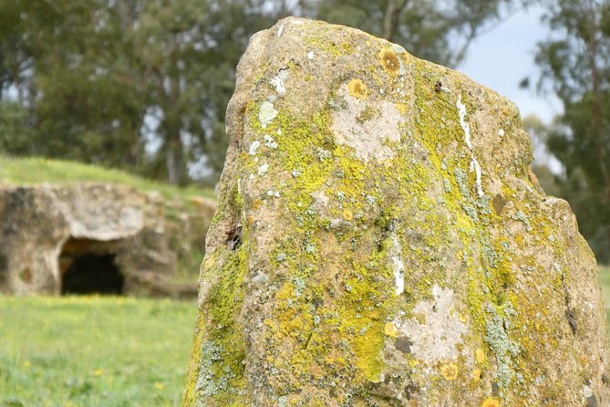 Alghero: Private Archaeological Tour (Transfer Included) With Local Guide - Booking Information