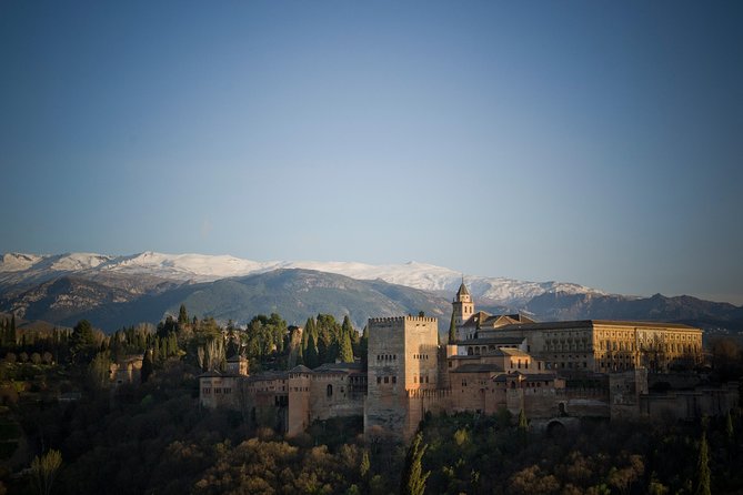 Alhambra and Nasrid Palaces Skip the Line Entrance From Seville - Skip-the-Line Access to Nasrid Palace