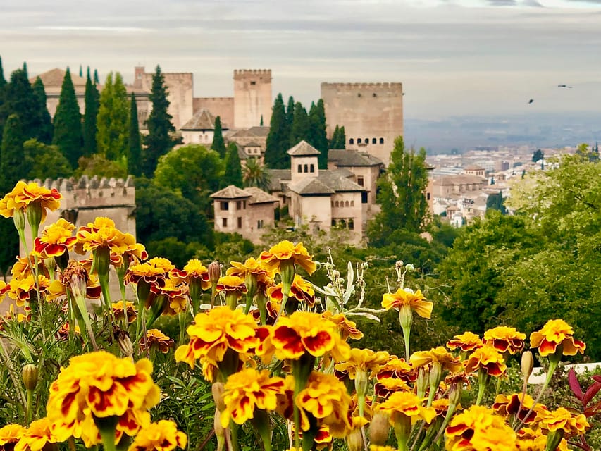 Alhambra: Guided Tour With Fast-Track Entry - Highlights of the Tour