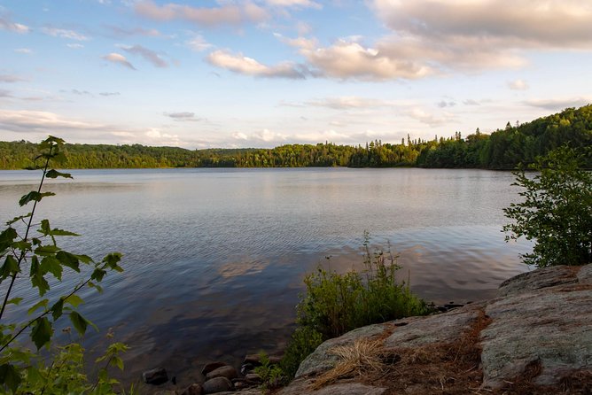 All-Inclusive Algonquin Backcountry Canoe Experience - Included Activities