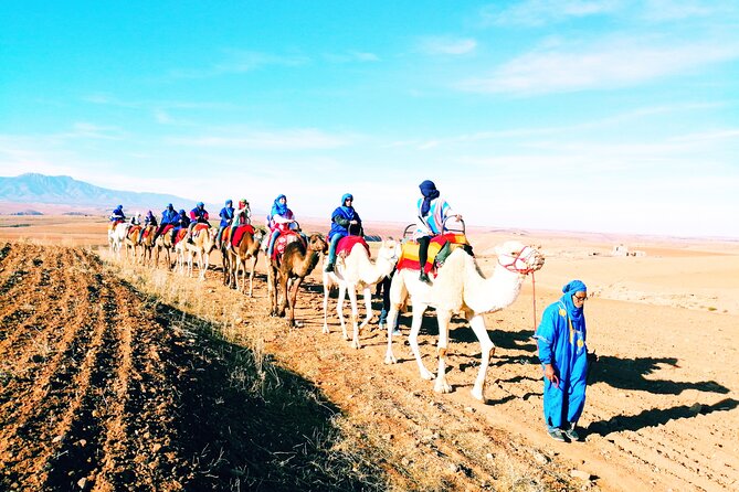 All-Inclusive Atlas Mountain 5 Valleys Day Trip & Camel Ride - Included Activities