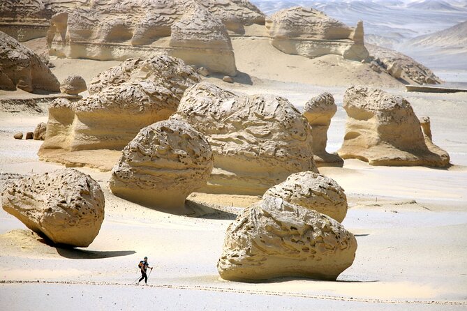 Allinclusive Private Tour Fayoum Oasis Waterfalls&Valley of Wales - Highlights of the Tour