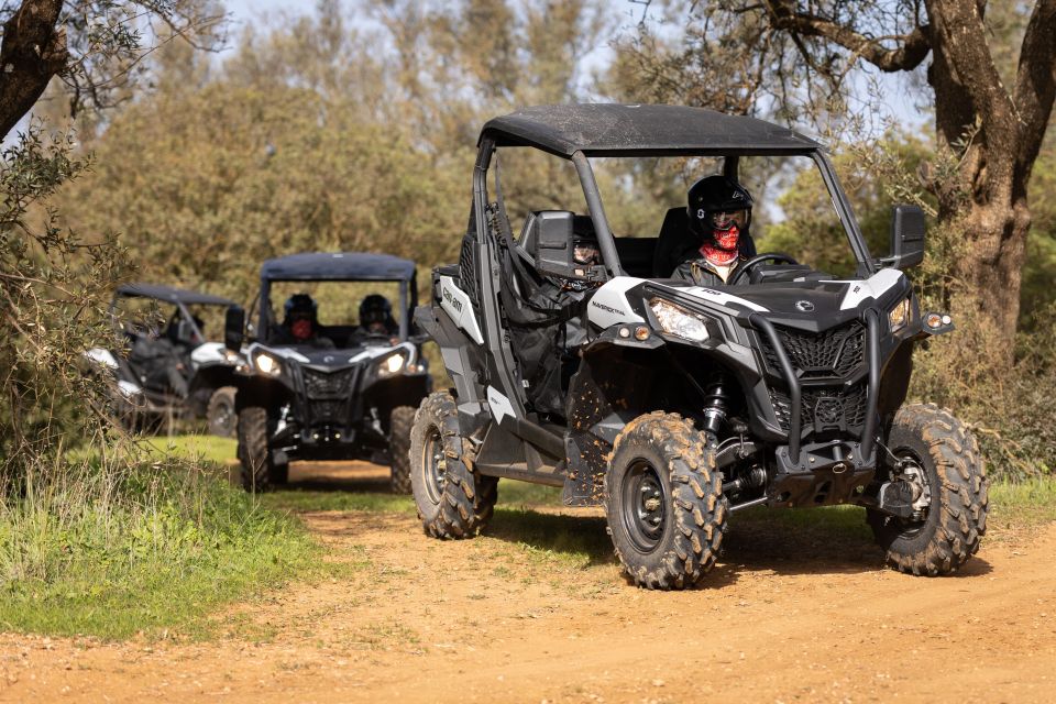 Almancil: Algarve Guided Off-Road Buggy Adventure - Highlights of the Tour