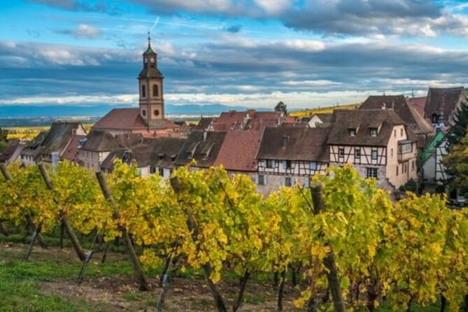 Alsace Rocks! Visit 3 Fabulous Wineries. - Tour Inclusions