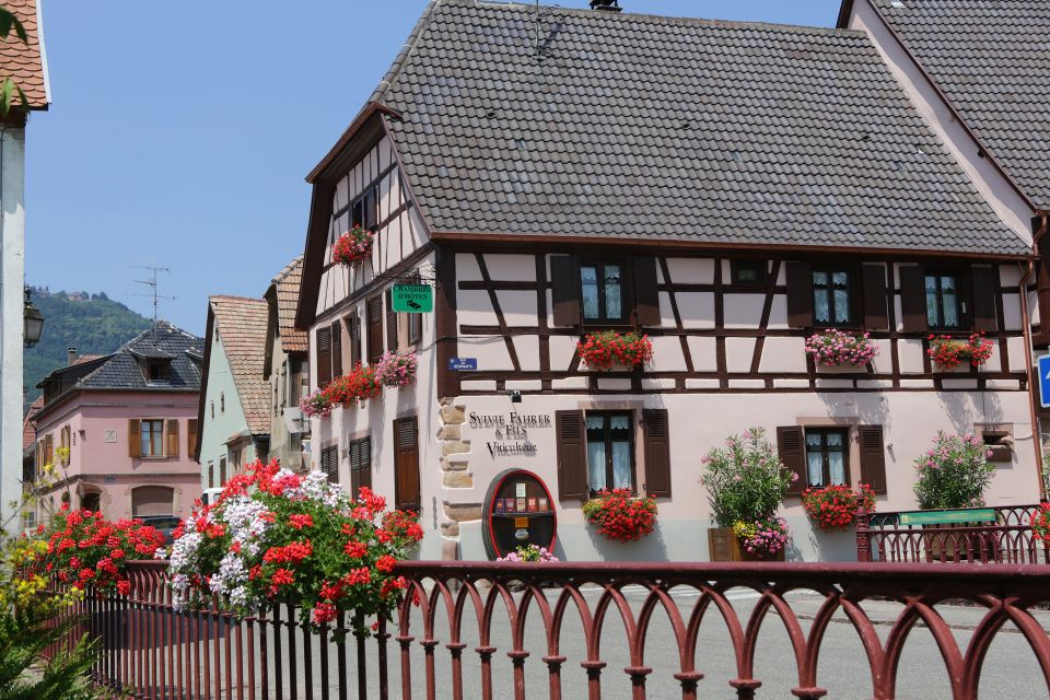 Alsace: Winery Tour & Tasting - The Winemaking Process