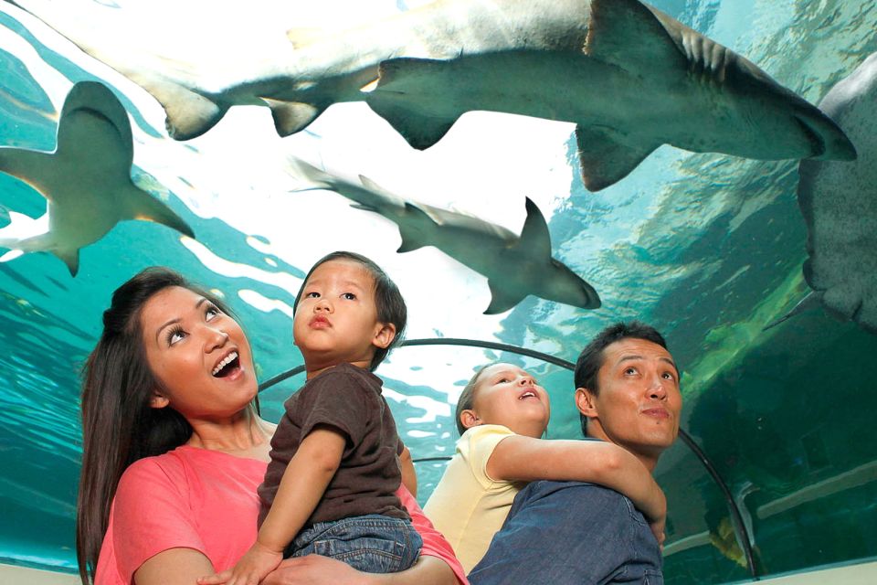 American Dream: SEA LIFE® Aquarium Entry Ticket - Experience Highlights