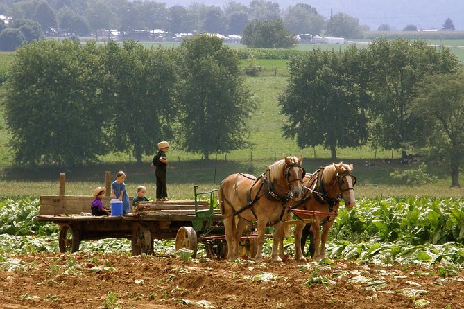 Amish Experience SuperSaver Package - Tour Details and Itinerary