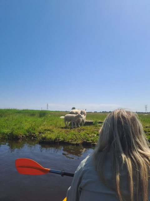 Amsterdam: Countryside Bike and Kayak Guided Tour - Experience Highlights