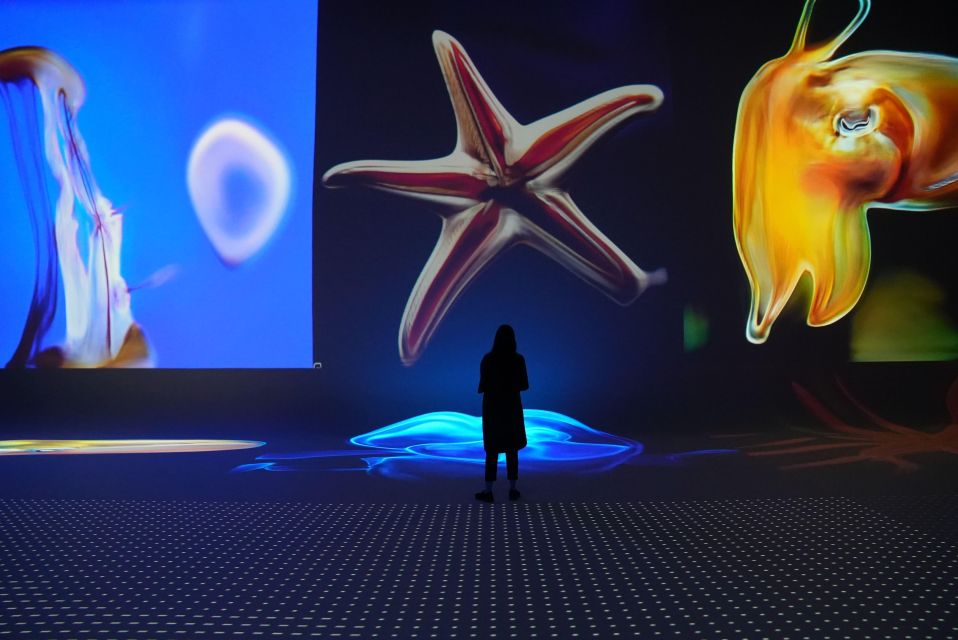 Amsterdam: Nxt Museum - Interactive Digital Art Entry Ticket - Museum Experience