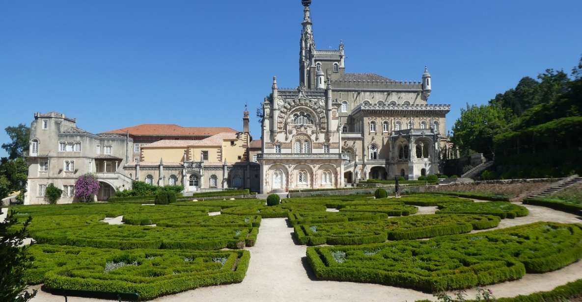 An Adventure Through the Forest and Palace of Bussaco - Coim - Booking Information