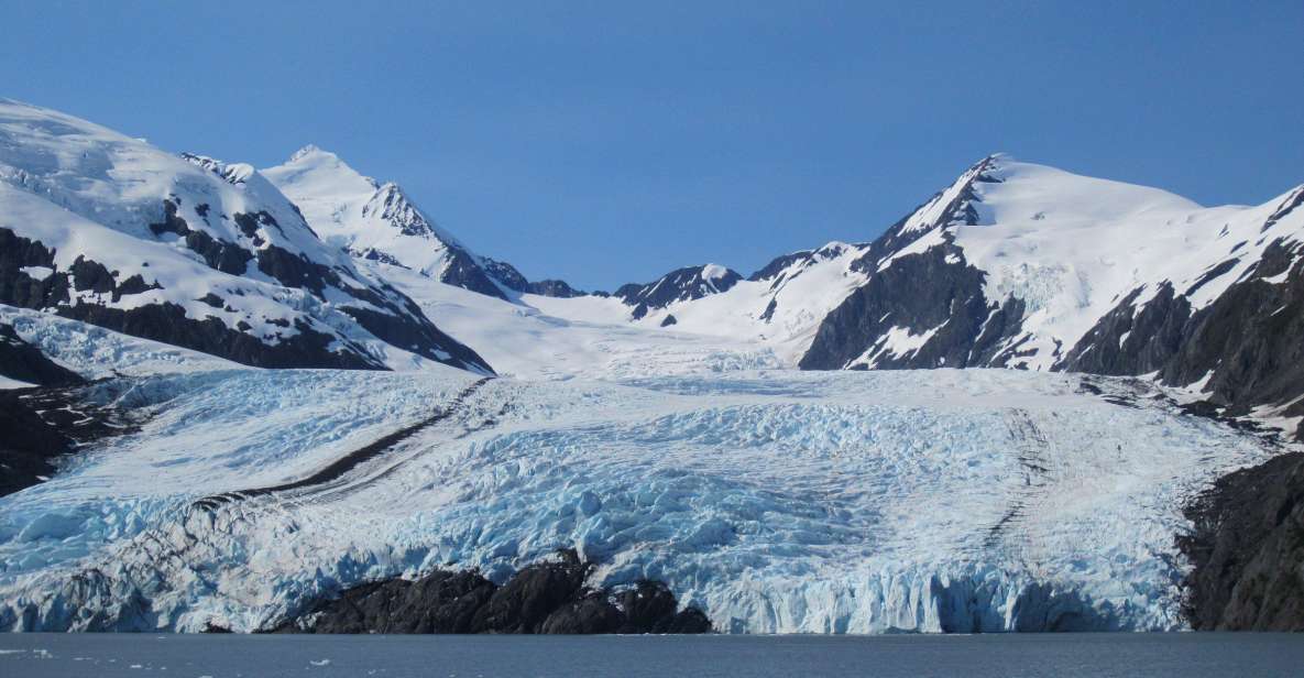 Anchorage: Glacier and Wildlife Explorer Cruise - Itinerary Highlights