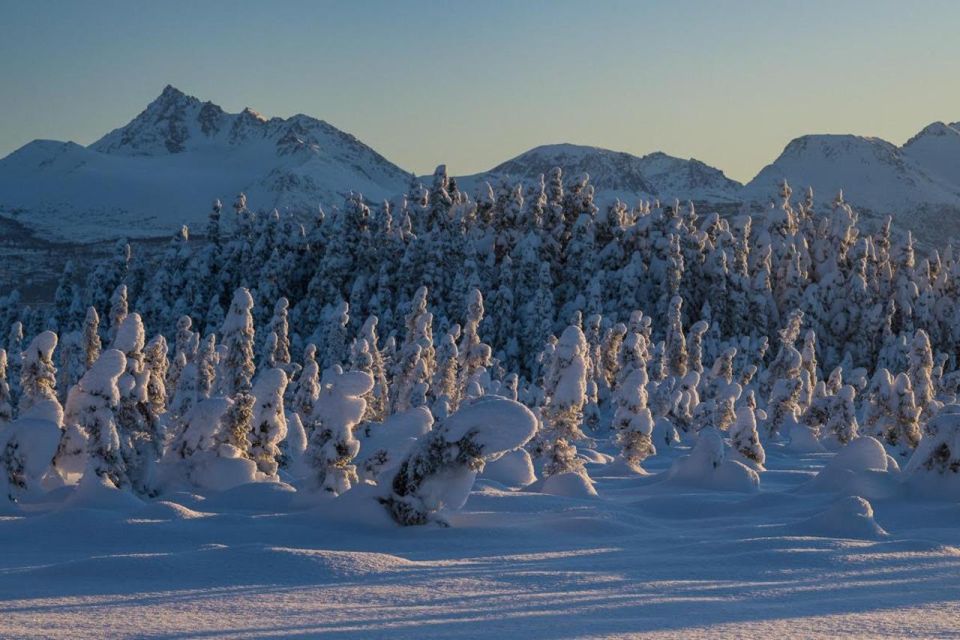 Anchorage: Winter Wonderland Photo Tour - Stunning Landscapes