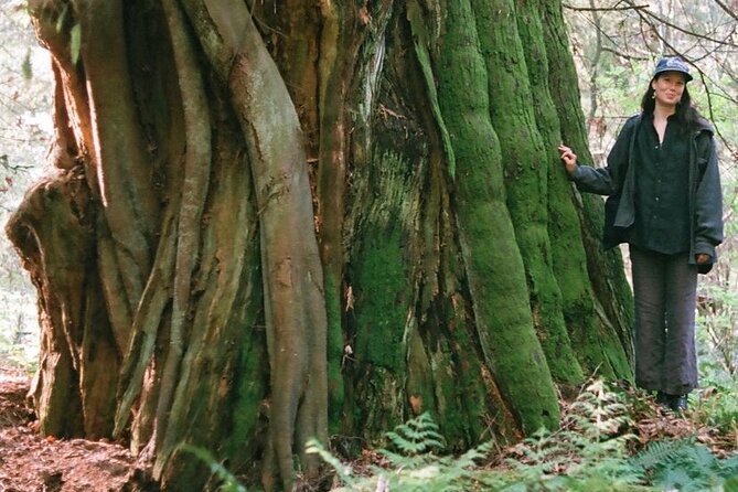 Ancient Trees of Vancouver Walking Tour - Highlights of the Tour