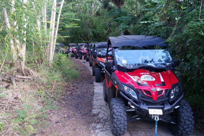 Antigua Buggy Explorer Tour From St. Johns - Pickup Information