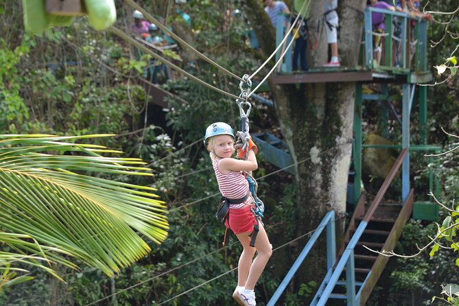 Antigua Zipline Canopy Adventure From St John'S - Forest Sights and Sounds