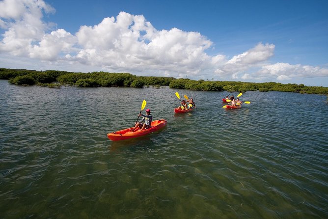 Antigua Zipline & Kayaking Combo From St. Johns - Kayaking Eco-Tour Experience