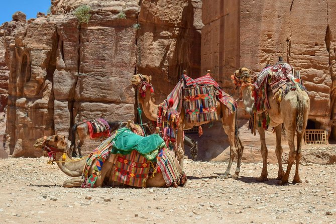 Aqaba Shore Excursion: Private Petra Sightseeing Tour With Lunch - Highlights of Petra