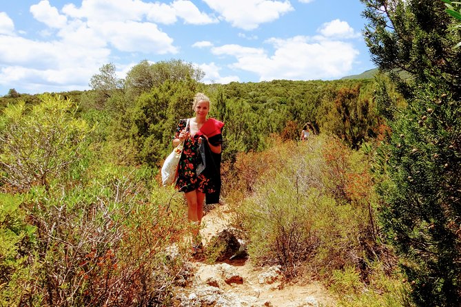 Arrábida Snorkeling Adventure With Transfer From Lisbon - Included in the Tour