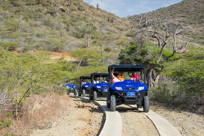 Aruba UTV Adventure Afternoon Tour - Traveler Information