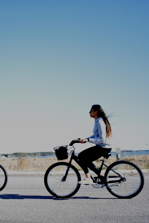 Assateague Island: Bicycle Rental From the Visitor Center - Exploring Assateagues Diverse Wildlife