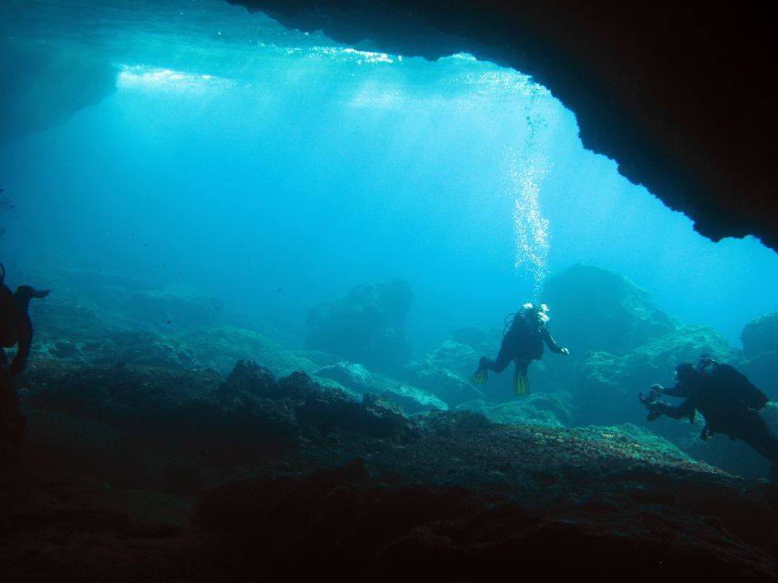 Athens: Adventure Dives in Nea Makri for Certified Divers - Dive Experience