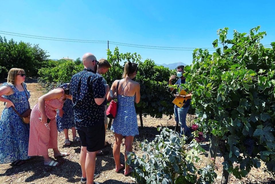 Athens: Wine Tour - Pricing and Booking