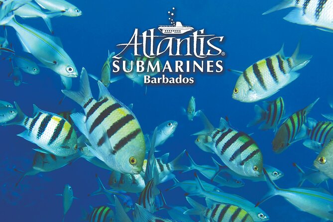 Atlantis Submarine Day Tour - Duration and Group Size