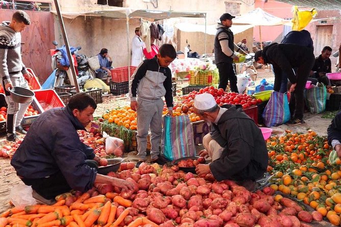 Atlas Mountains and Three Valleys & Waterfalls: Guided Day Trip From Marrakech - Inclusions