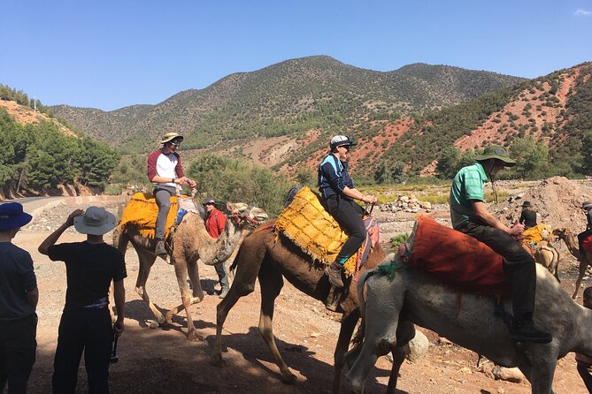 Atlas Mountains Day Tour With Camel Ride - Tour Inclusions