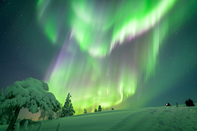 Auroras in Saariselkä – Northern Lights Photo Tour by Car and on Foot - Barbecue Dinner in Cozy Tent