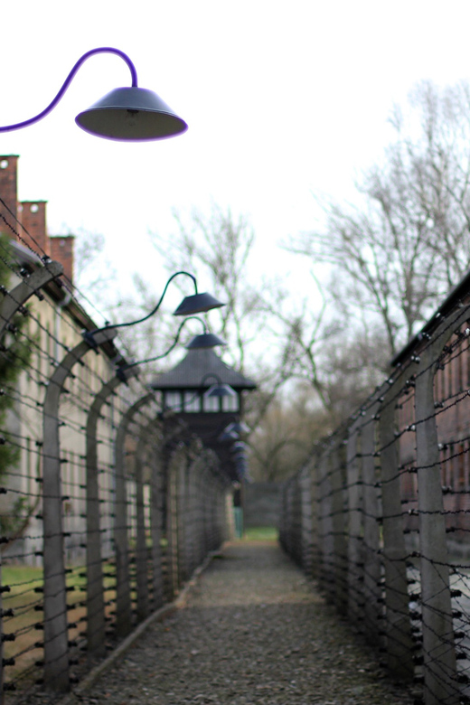 Auschwitz-Birkenau Full-Day Tour From Lodz by Private Car - Experience Highlights