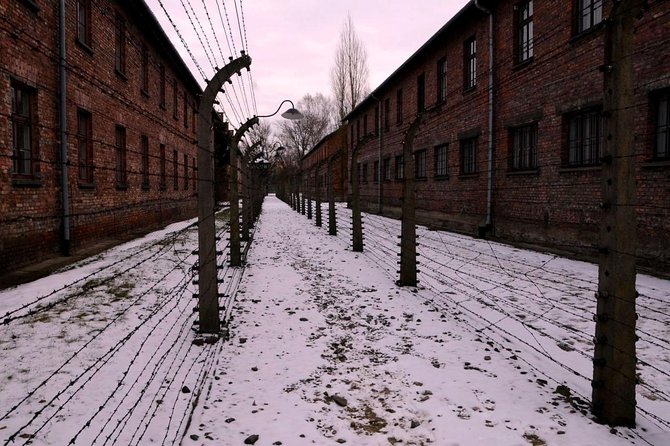 Auschwitz Birkenau Memorial and Museum Group Tour From Krakow - Whats Included