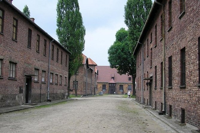 Auschwitz Guided Tour - Special Requirements