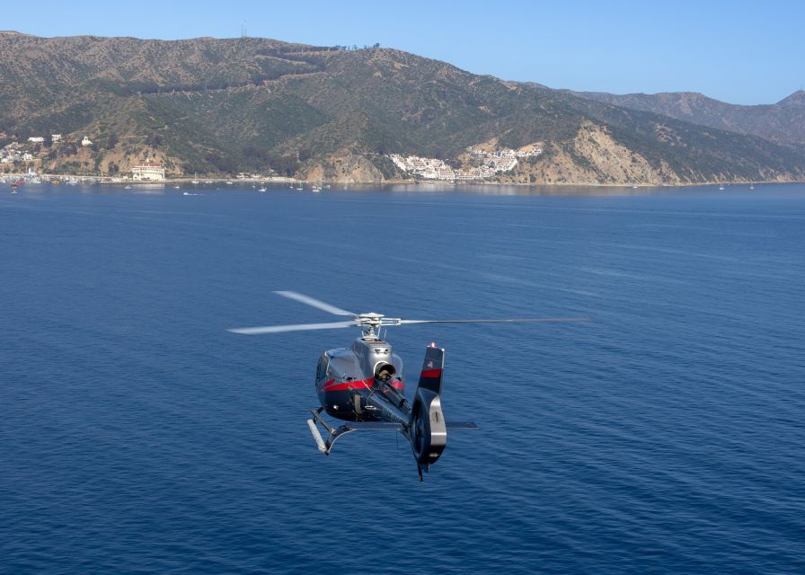 Avalon: Santa Catalina Island Aerial Helicopter Tour - Highlights of the Flight