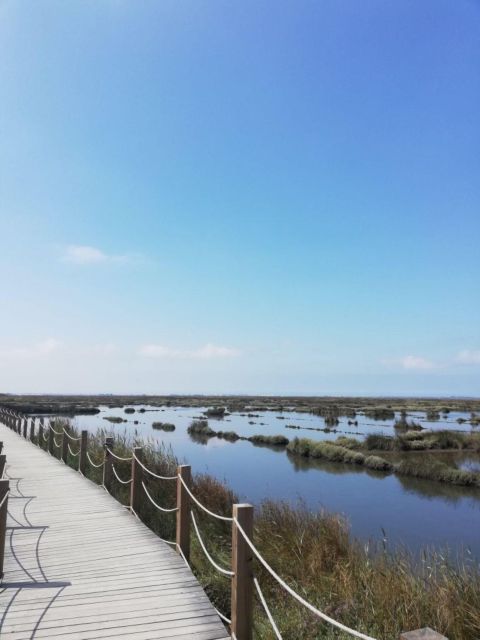 Aveiro: City of Canals Bike Tour - Experience Highlights