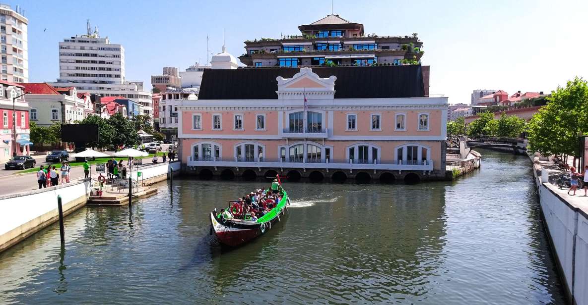 Aveiro Private Tour, Bairrada Wine Cellars & Roasted Piglet - Moliceiro Boats and Art Nouveau Charm