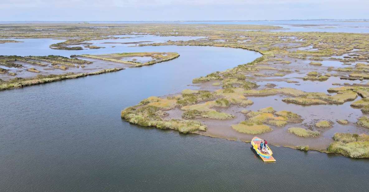 Aveiro: Ria Highlights Boat Tour - Experience and Highlights