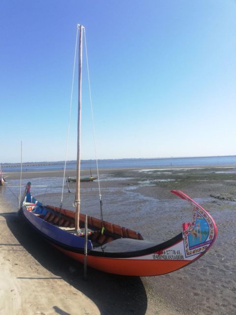 Aveiro: Tour Ria - Bike Adventure in Aveiro's Estuary - Pricing and Reservations