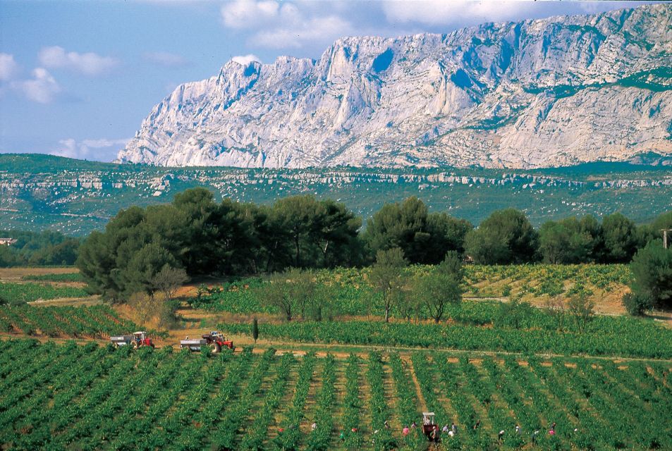 Avignon: Full-Day Wine Tour Around Châteauneuf-Du-Pape - Transportation and Inclusions