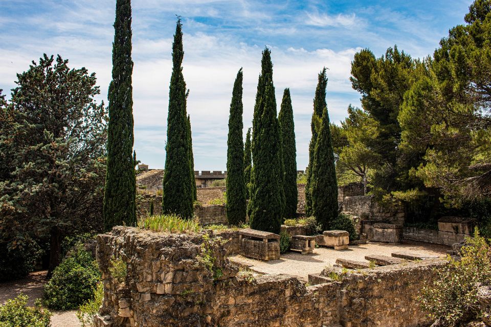 Avignon Private Guided Tour and Wine Tastings From Marseille - Explore the Gothic Palace of the Popes