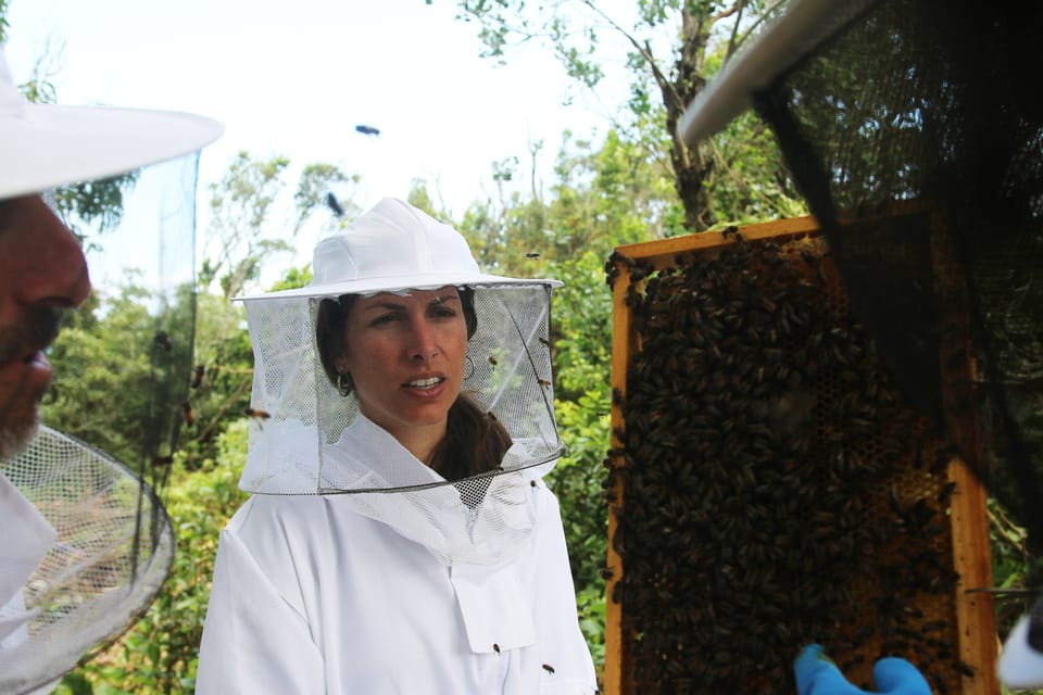 Azores Beekeeping Tour and Honey Taste - Pricing Details