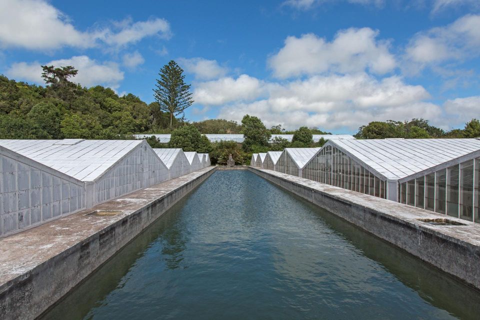 Azores: Private Tour Sete Cidades Green & Blue Lakes - Itinerary