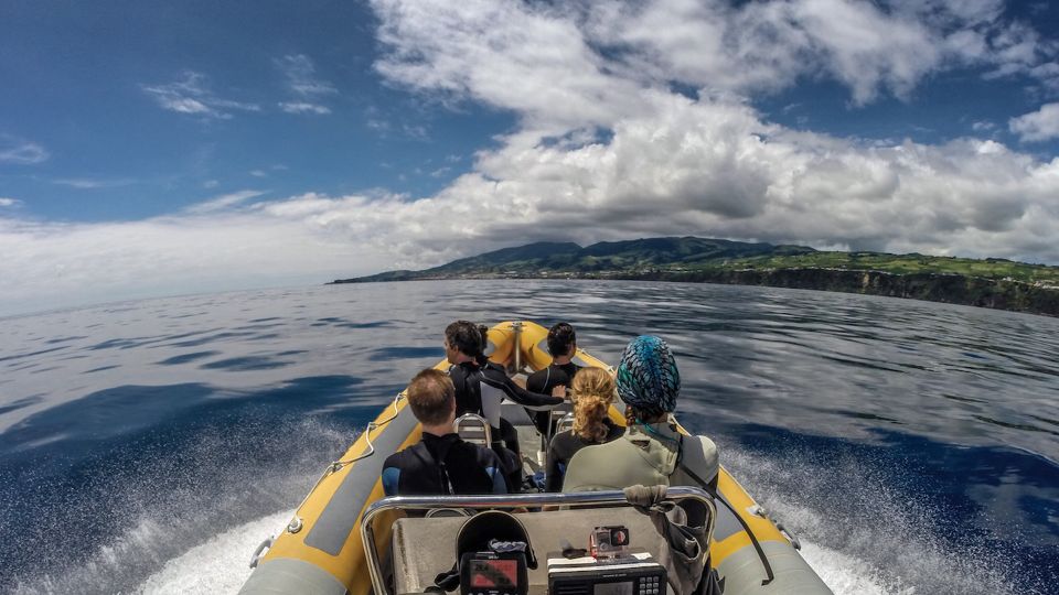 Azores: Swim With Dolphins Atlantic Experience - Itinerary and Key Details