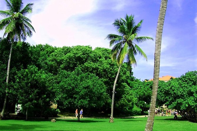 Bacardi Island (Cayo Levantado) Day Pass - Meeting Point and Pickup