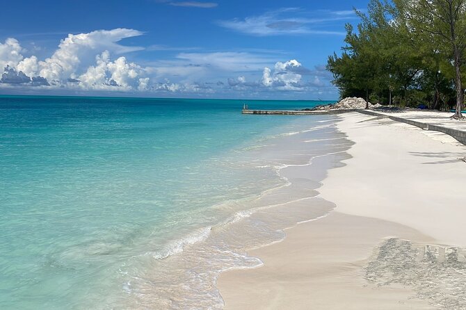 Bahamas Adventure: Pigs, Reef, Turtles, and Beach With Lunch - Meeting Point and Accessibility