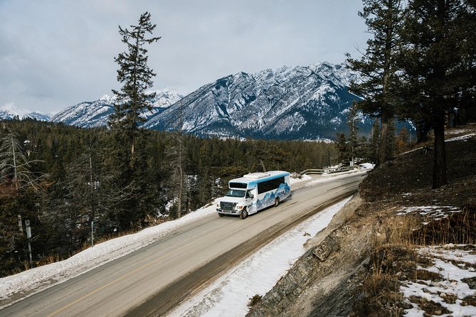 Banff Winter Wonder Tour - Featuring Nightrise at Banff Gondola - Inclusions