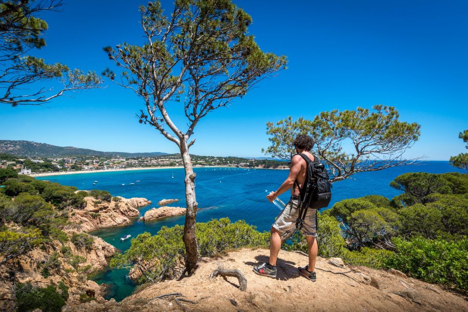 Barcelona: Costa Brava Hike, Snorkel & Cliff Jump With Lunch - Itinerary Highlights