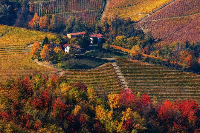 Barolo Wine Tasting, Alba, UNESCO Castle: Small Group From Milan - Tour Highlights